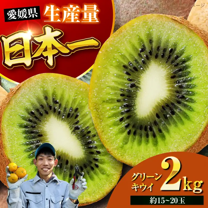 キウイ グリーンキウイ 2kg [AGBC018]