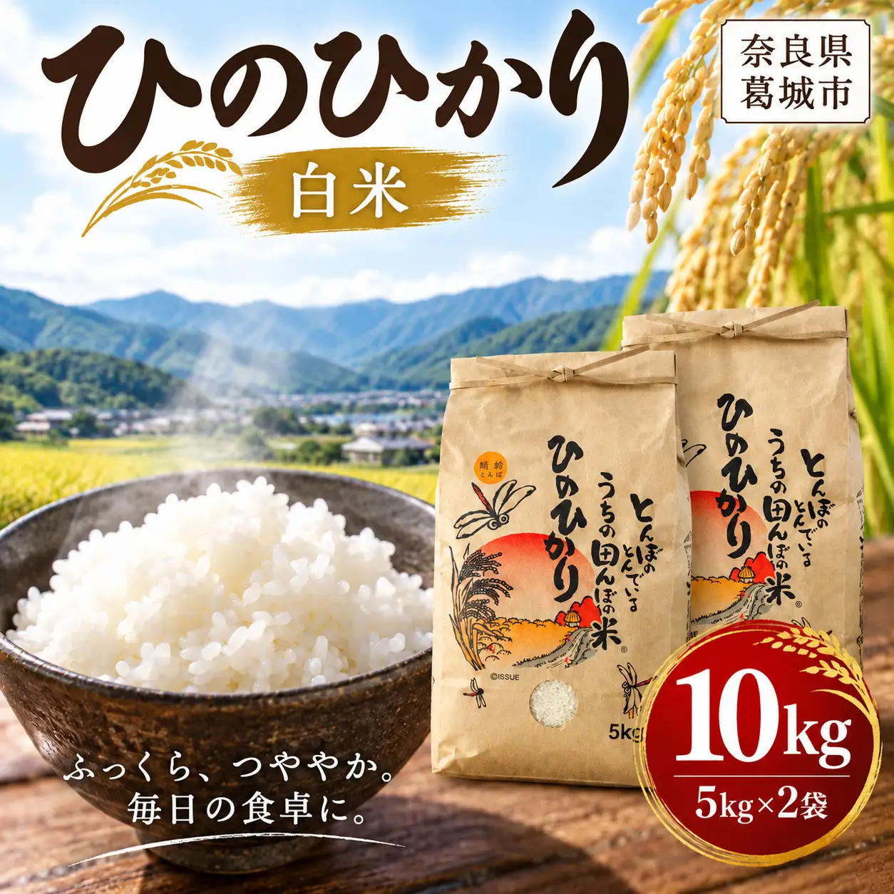 新米 令和8年産 ひのひかり 白米 計10kg(5kg×2袋)  B-フレスコ葛城 【bfrk003】