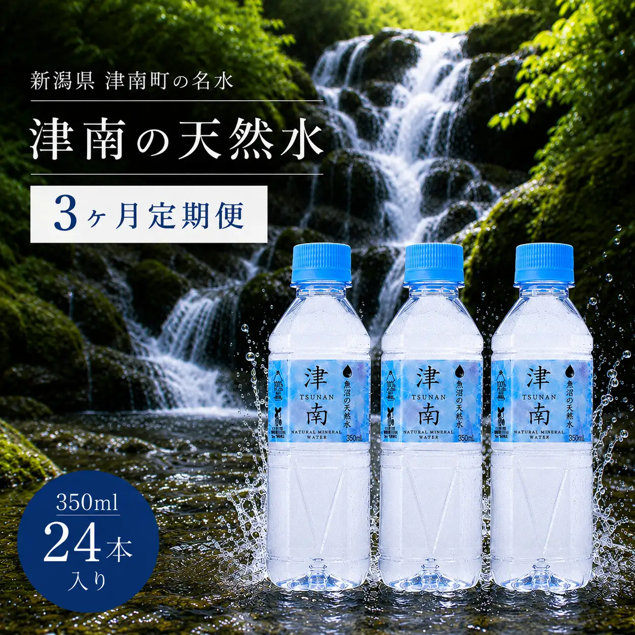 【3ヶ月定期便】津南の天然水 350ml × 24本  | 津南町 ミネラルウォーター