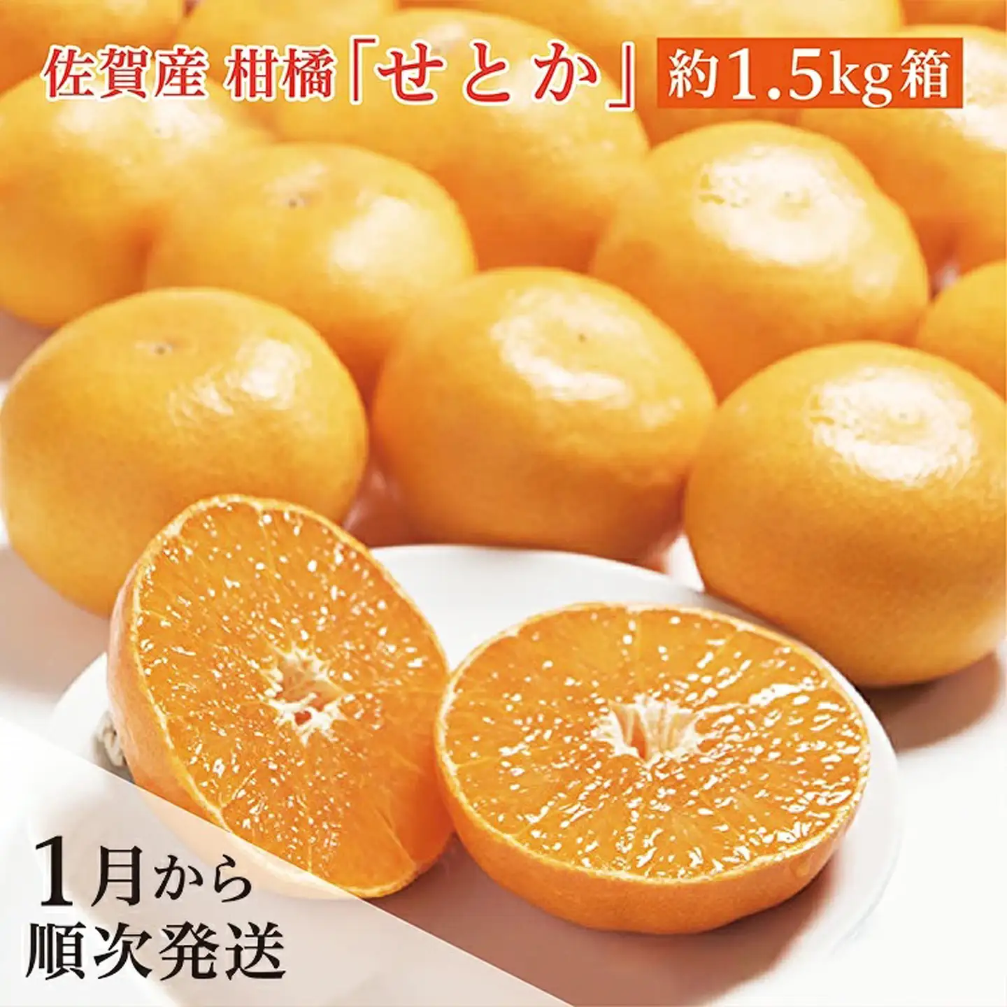 【2027年1月から順次発送】佐賀産 柑橘 みかん 『 せとか 』 約 1.5kg 箱 _b-377