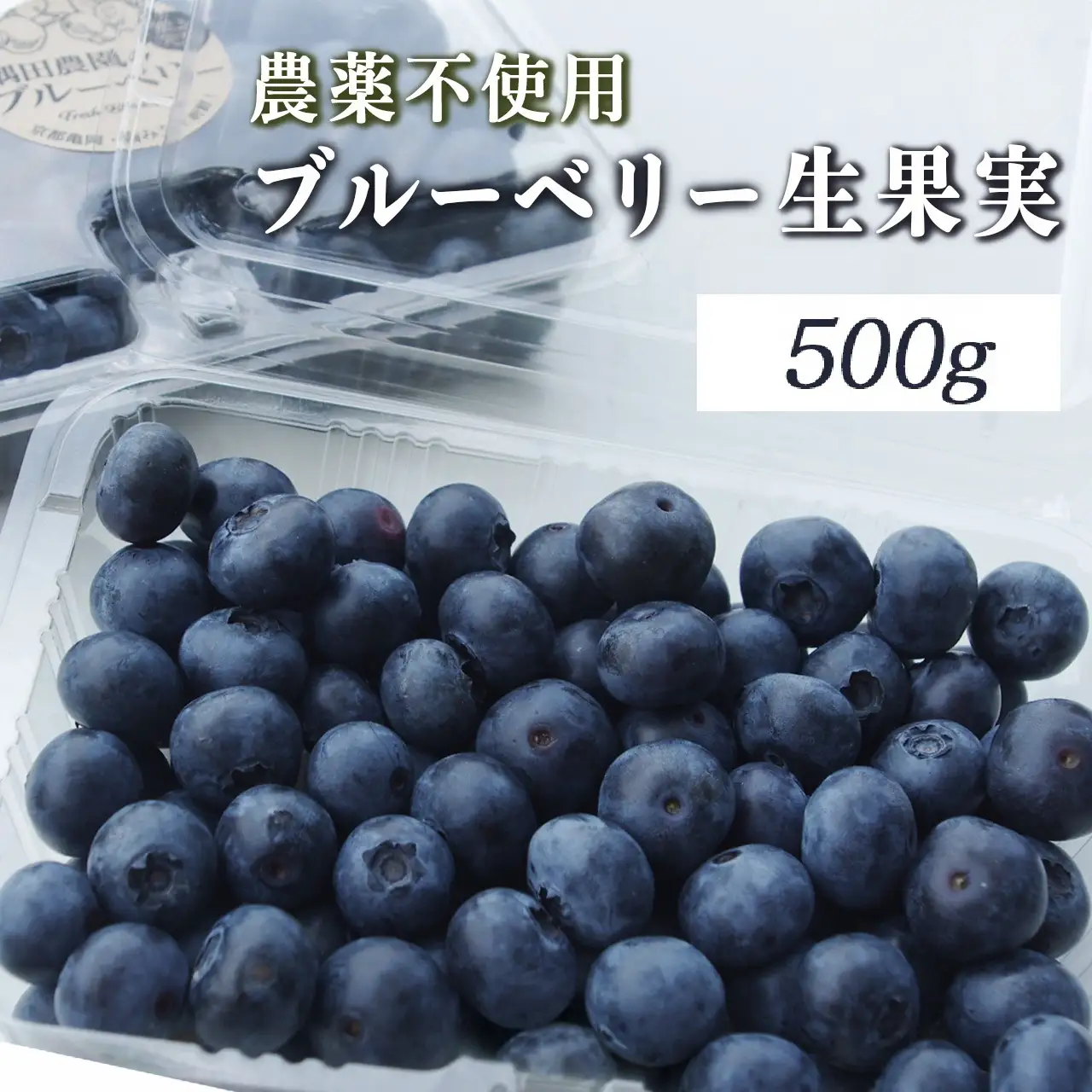 朝摘みブルーベリー 生果実 500g ベリー
