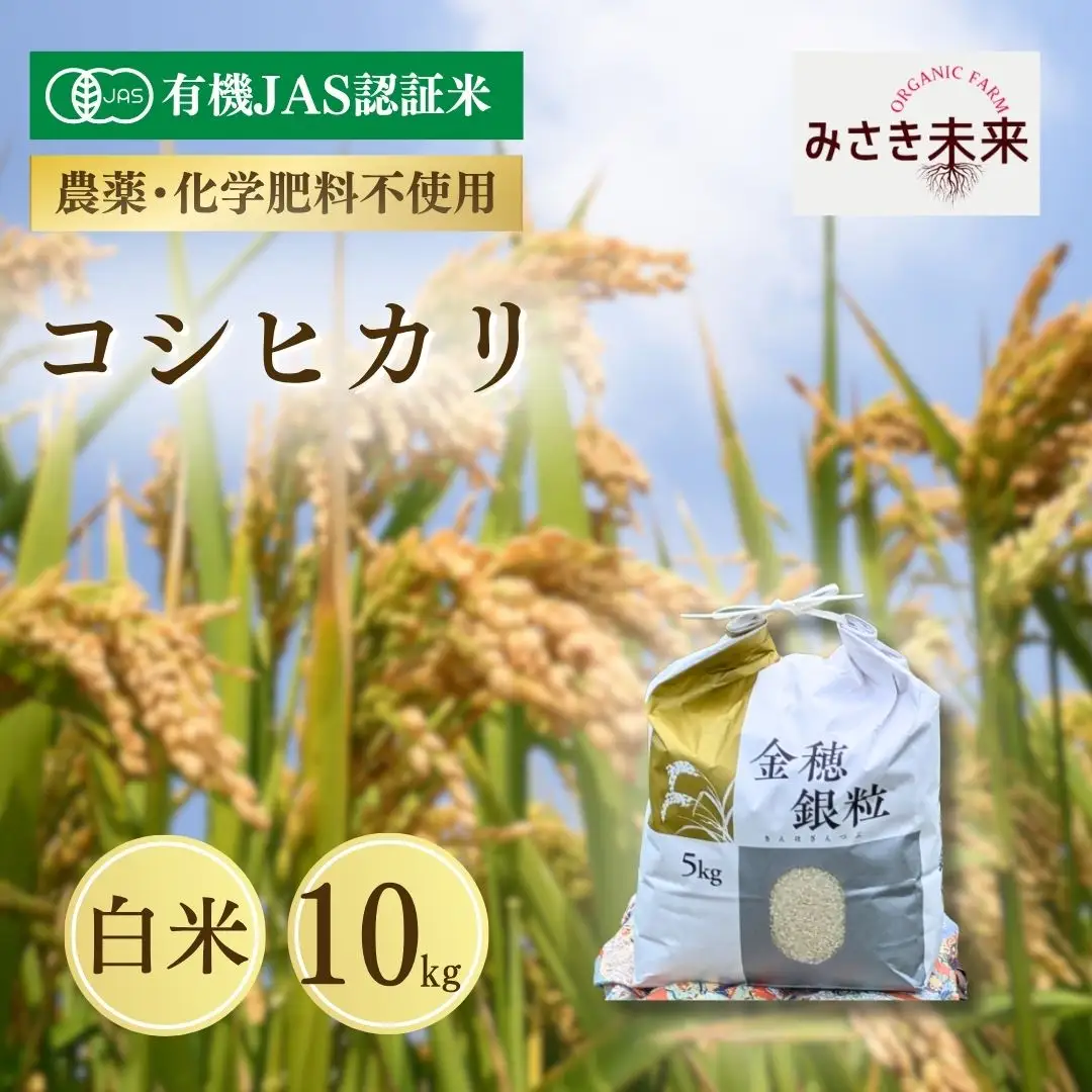 【先行予約】有機JAS米 コシヒカリ 白米 10kg 令和8年産 | 有機米 南相馬 みさき未来 福島県産コシヒカリ