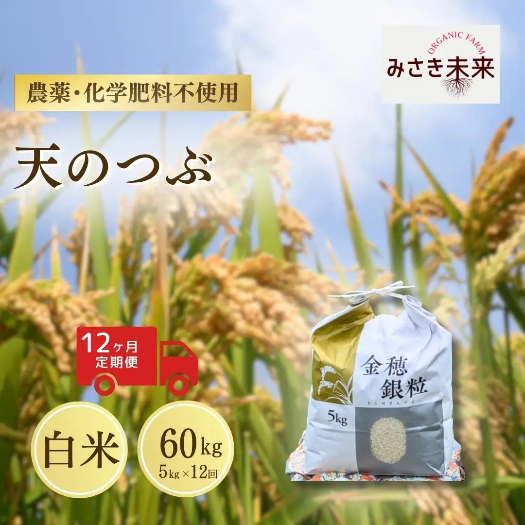 【先行予約】【12か月定期便】天のつぶ 白米 60kg (5kg×12回) 令和8年産 | 南相馬 みさき未来