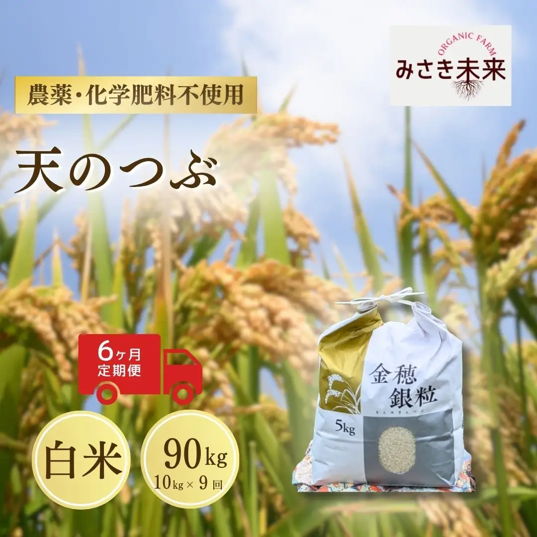 【先行予約】【9か月定期便】天のつぶ 白米 90kg (10kg×9回) 令和8年産 | 南相馬 みさき未来