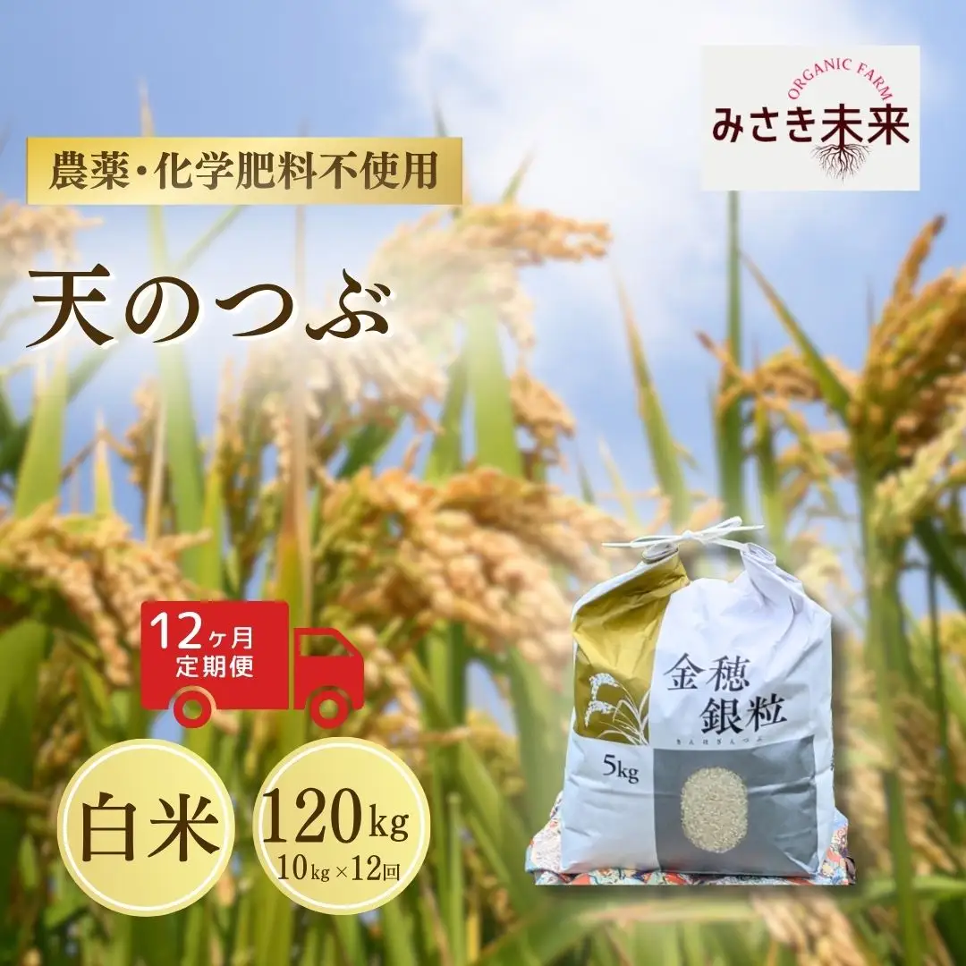 【先行予約】【12か月定期便】天のつぶ 白米 120kg (10kg×12回) 令和8年産 | 南相馬 みさき未来