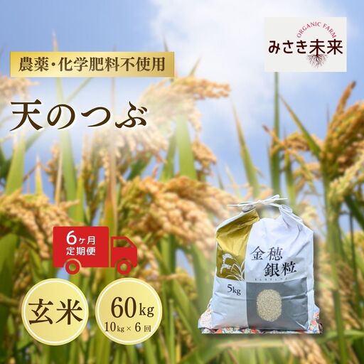 先行予約】【6か月定期便】天のつぶ 玄米 60kg (10kg×6回) 令和8年産