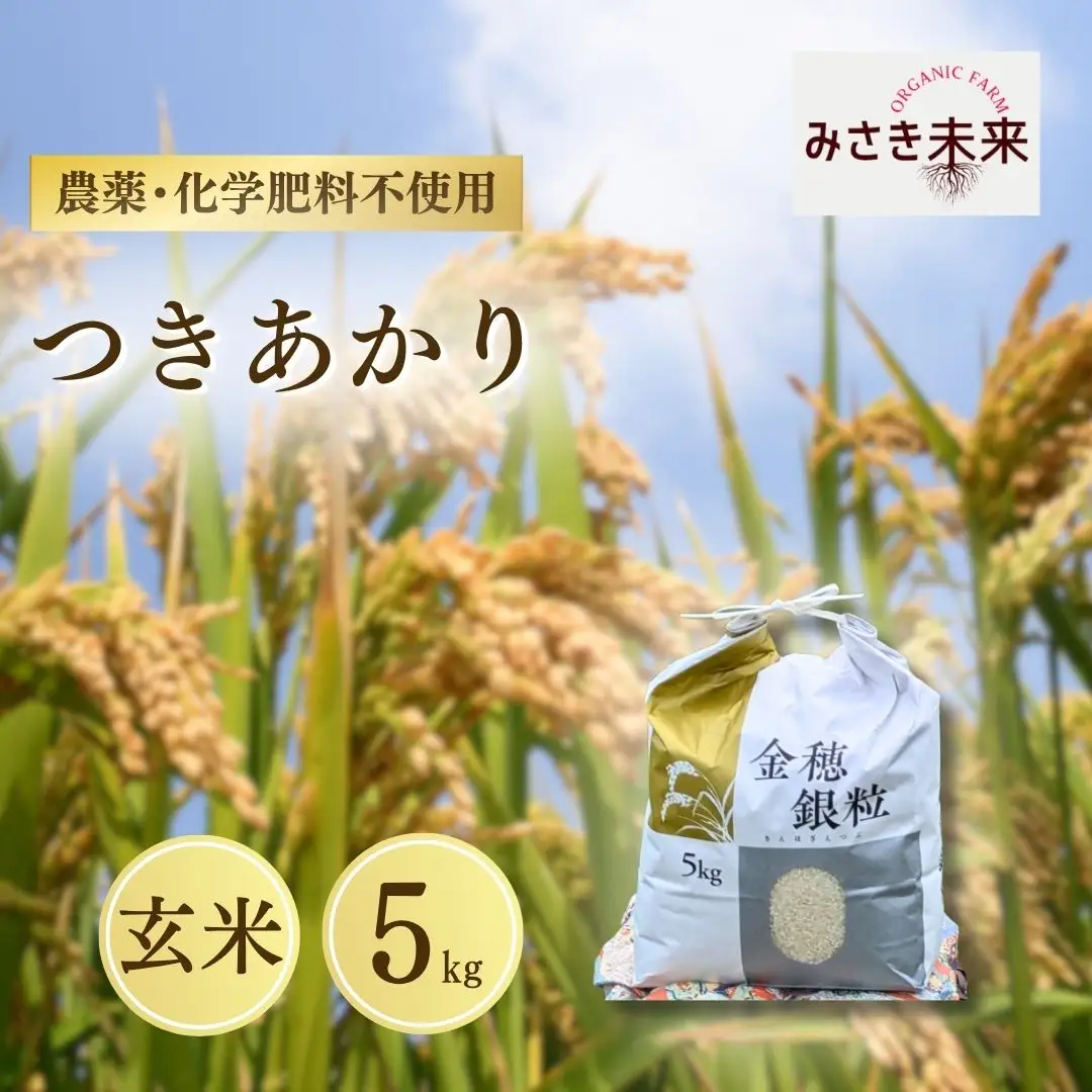 【先行予約】つきあかり 玄米 5kg 令和8年産 | 南相馬市 みさき未来