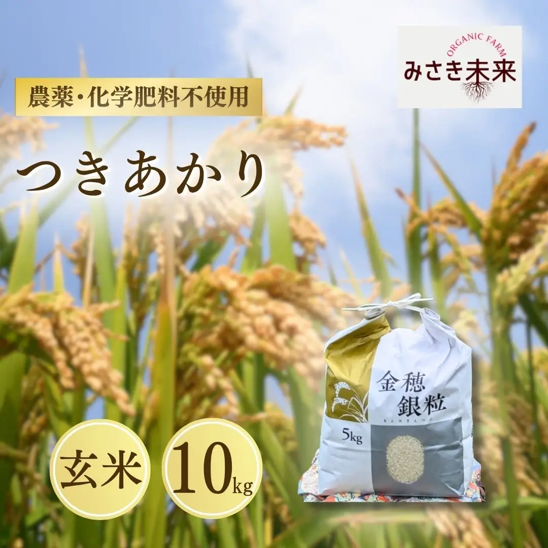 【先行予約】つきあかり 玄米 10kg 令和8年産 | 南相馬市 みさき未来