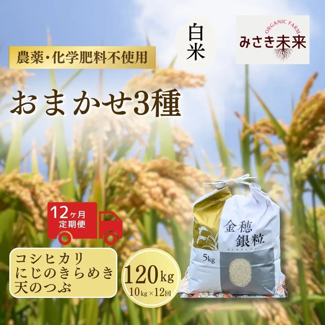 【先行予約】【12か月定期便】白米おまかせ3品種 各品種・計360kg (10kg×12回) 令和8年産 コシヒカリ・にじのきらめき・天のつぶ | 南相馬 みさき未来