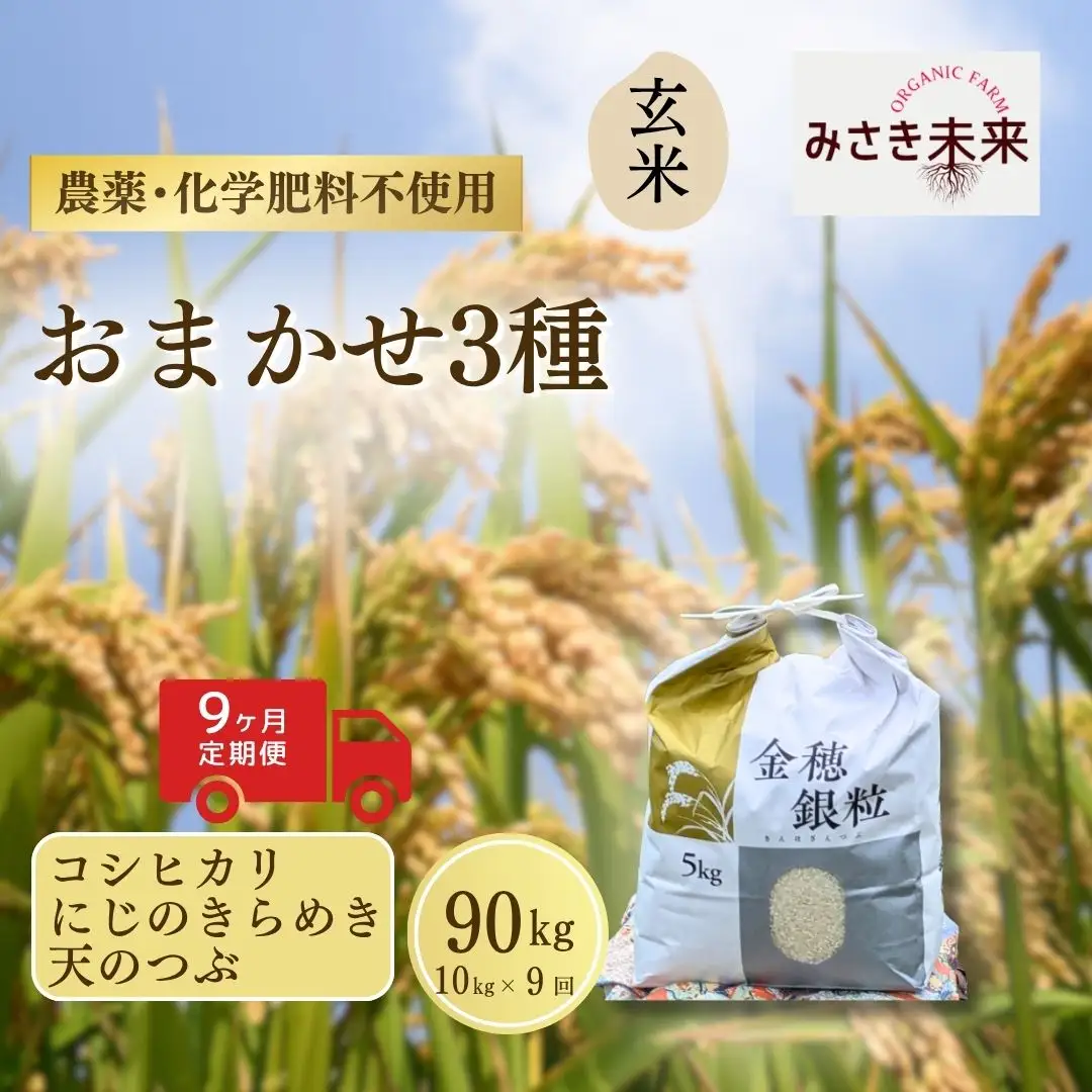 【先行予約】【12か月定期便】玄米おまかせ3品種 各品種・計360kg (10kg×12回) 令和8年産 コシヒカリ・にじのきらめき・天のつぶ | 南相馬 みさき未来