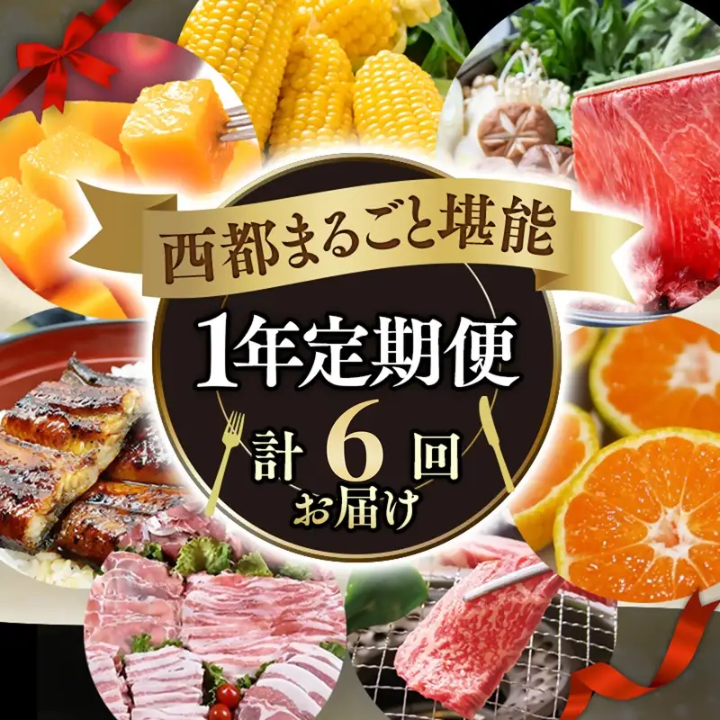【季節の定期便B】1年間届く 西都まるごと堪能セット6品お届け！【わくわくコース】 宮崎完熟マンゴー 宮崎牛 うなぎ いちご 地鶏 もつ鍋 すき焼き＜1-2a＞