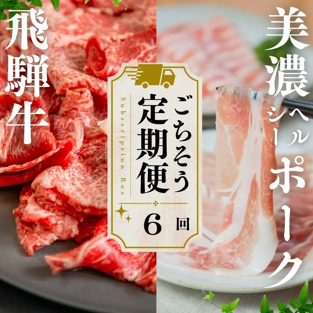 【定期便】飛騨牛 豚 切り落とし 定期便 全6回 | 本巣市 トキノ屋 食品