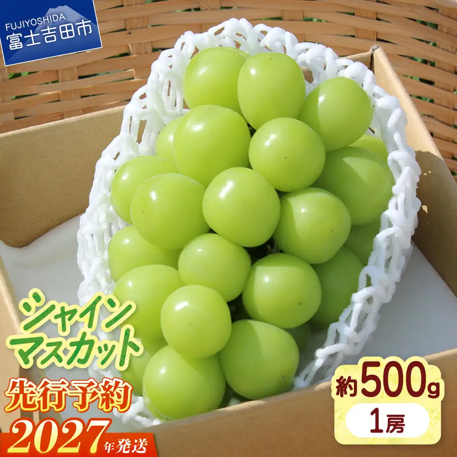 フルーツ 【2027年発送 先行予約】山梨県産 シャインマスカット約500g（1房） シャイン マスカット