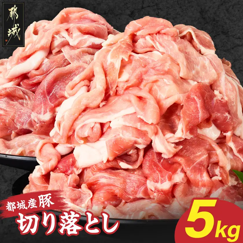 都城産豚切り落とし5kg〔17-25-019〕_(都城市) 