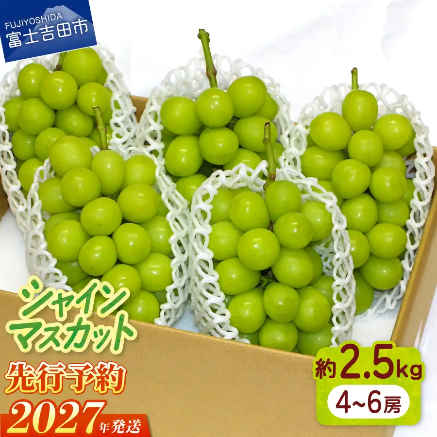 フルーツ 【2027年発送 先行予約】山梨県産 シャインマスカット約2.5kg（4～6房） シャイン マスカット