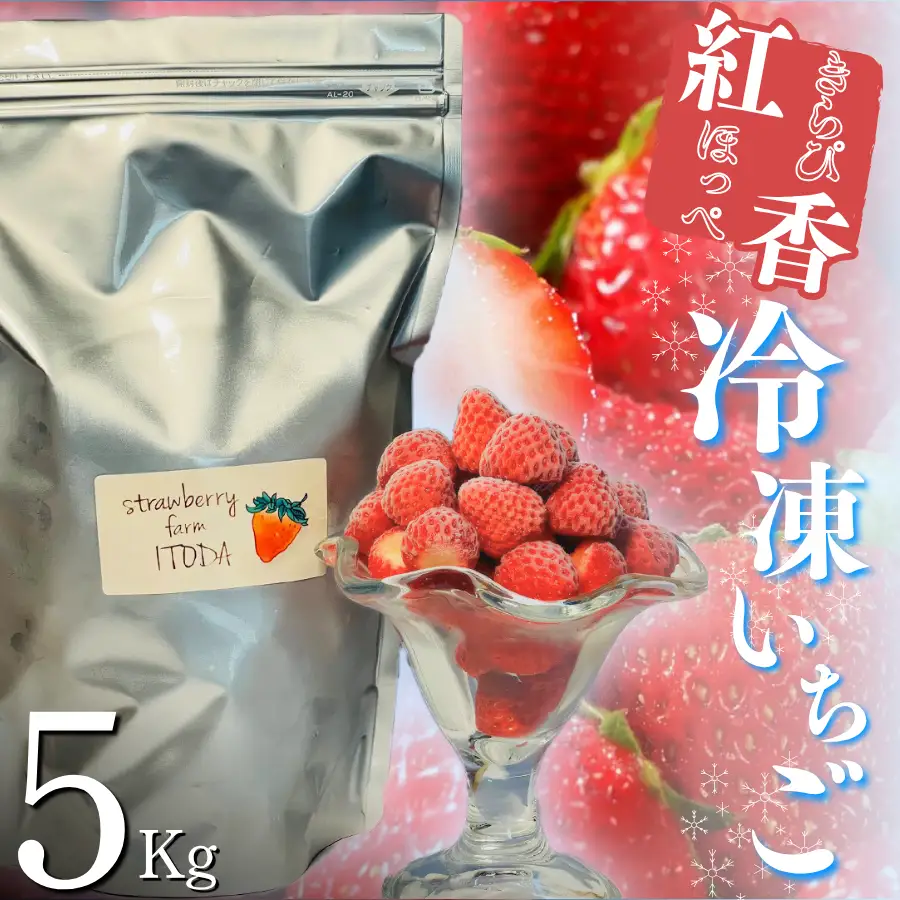 【先行予約_2027年発送】地元JA品評会金賞受賞　冷凍イチゴ5Kg　【 フローズン ストロベリー スムージー 苺 いちご  】 