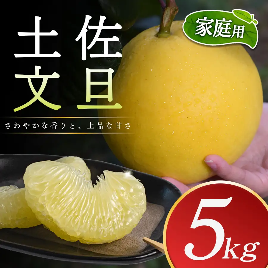 土佐文旦 家庭用 5kg