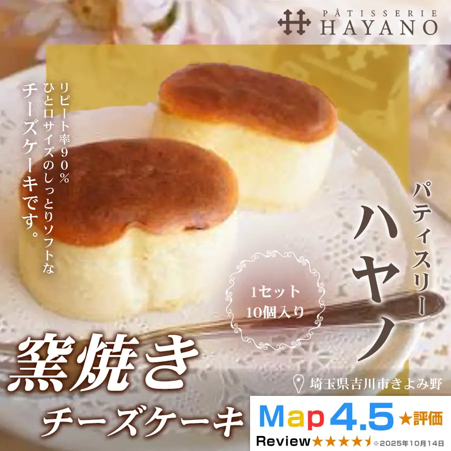 009-101S　窯焼きチーズケーキ１セット（１０個入り）YSKBV026