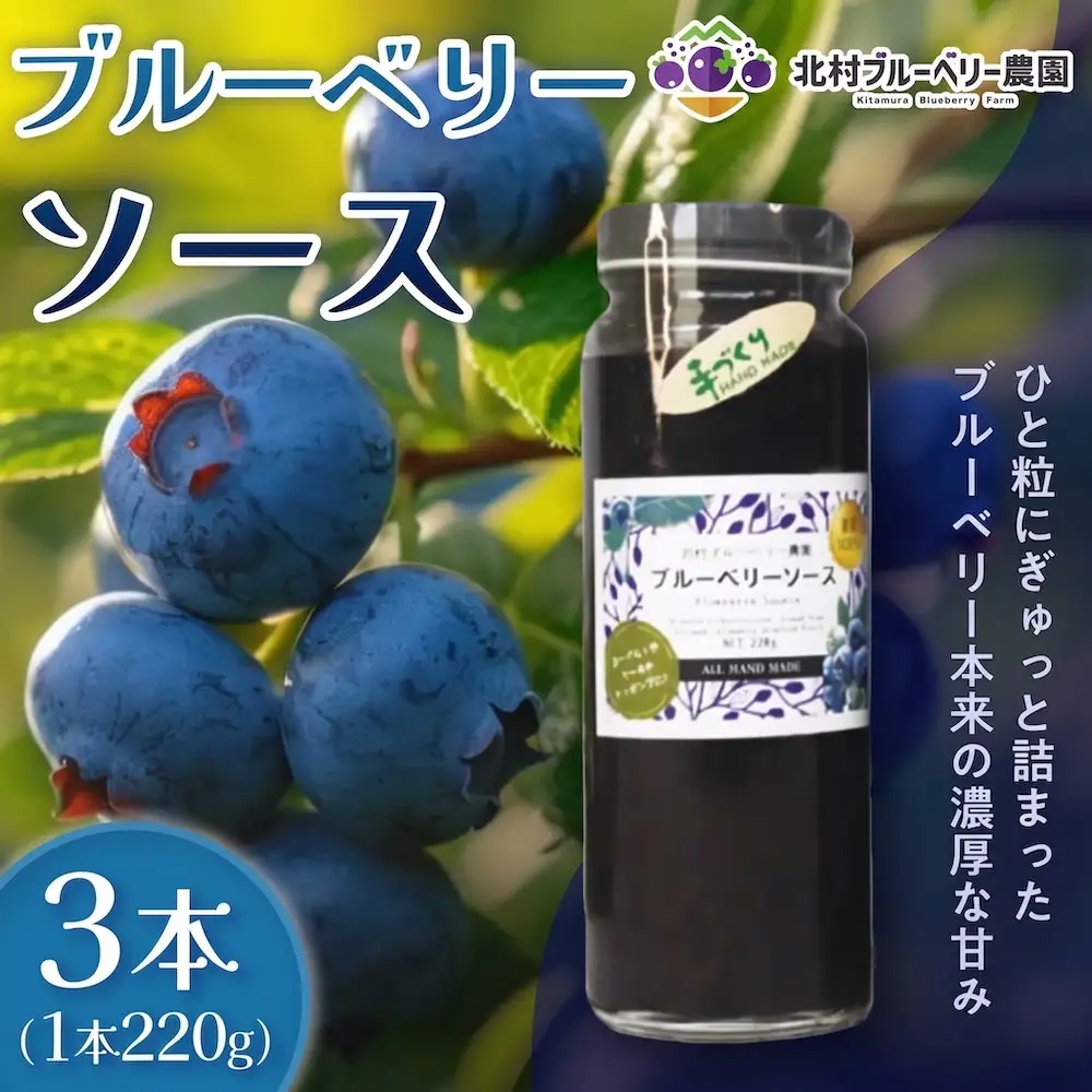 ブルーベリーソース 220g × 3本 ブルーベリー ソース 自然栽培 無農薬 化学肥料不使用 冷蔵 ベリー 国産 フルーツ 果物 宮城県 石巻市 宮城 石巻