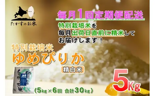 【 6回定期便 】 【 令和8年産 】 ゆめぴりか （ 精白米 ） 約5kg （ 約5kg × 1袋 ） お米 米 こめ コメ 白米 白飯 飯 ご飯 おにぎり 国産 北海道産 ブランド米 ブランド 定期 定期配送 特別栽培米 【 2026年10月上旬発送開始予定 】