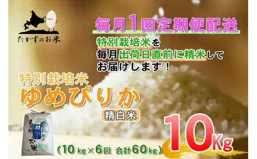 【 6回定期便 】 【 令和8年産 】 ゆめぴりか （ 精白米 ） 約10kg （ 約10kg × 1袋 ） お米 米 こめ コメ 白米 白飯 飯 ご飯 おにぎり 国産 北海道産 ブランド米 ブランド 定期 定期配送 特別栽培米 【 2026年10月上旬発送開始予定 】