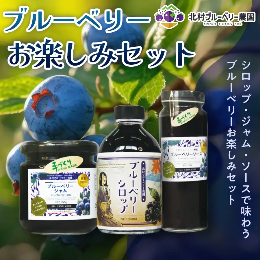 【ブルーベリー お楽しみセット】ブルーベリーシロップ ・ ブルーベリージャム ・ ソース ×1セット ブルーベリー 国産 自然栽培 無農薬 化学肥料不使用 宮城県 石巻市 宮城 石巻