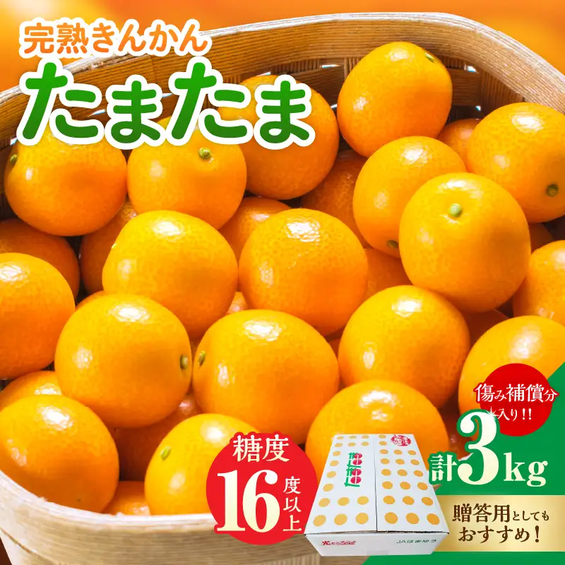 糖度16度以上 完熟 きんかん たまたま 計3kg以上 傷み補償分入り_DC39-26