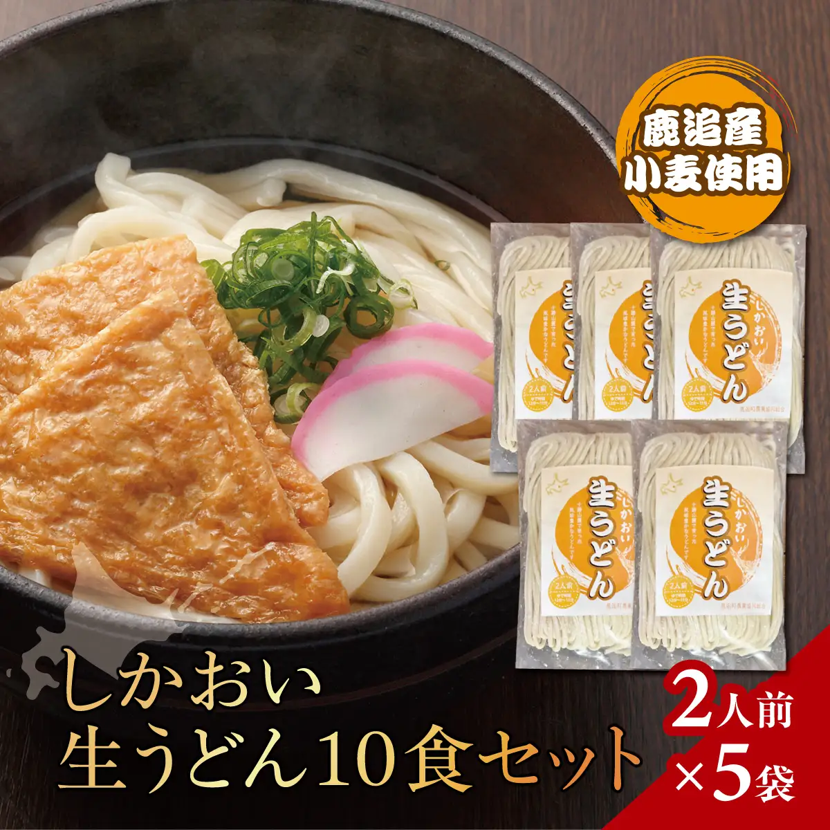 しかおい生うどん 10食セット（2人前×5袋） SKA077