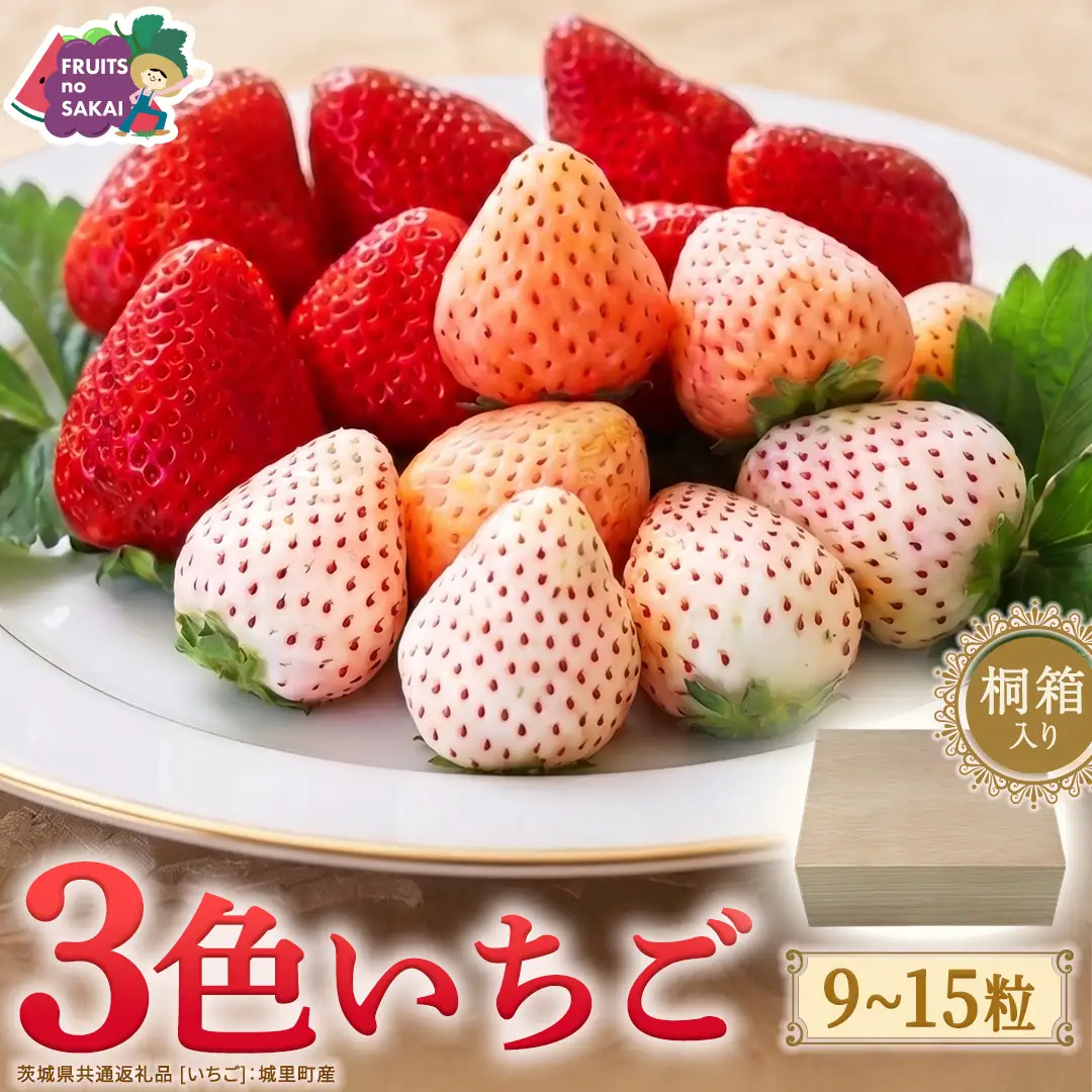 【桐箱入り】3色いちご 9～15粒 【2027年1月から発送開始】（茨城県共通返礼品 [いちご]：城里町産） いちご イチゴ 苺  甘い 国産 人気 桐箱 贈答 贈り物 ギフト ふるさと納税