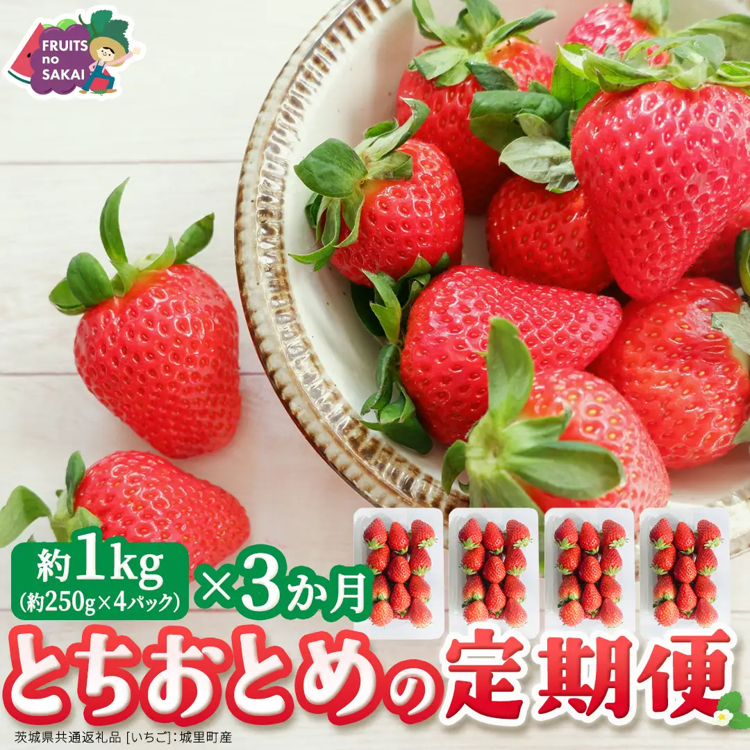 【定期便】とちおとめ 約250g（15～18粒）×4パック 3ヶ月連続お届け便【2026年12月から発送開始】（茨城県共通返礼品 [いちご]：城里町産）