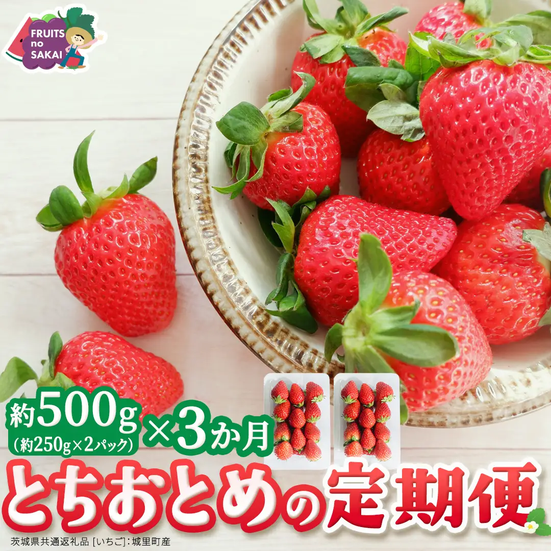 【定期便】とちおとめ 約250g（15～18粒）×2パック 3ヶ月連続お届け便【2026年12月から発送開始】（茨城県共通返礼品 [いちご]：城里町産）
