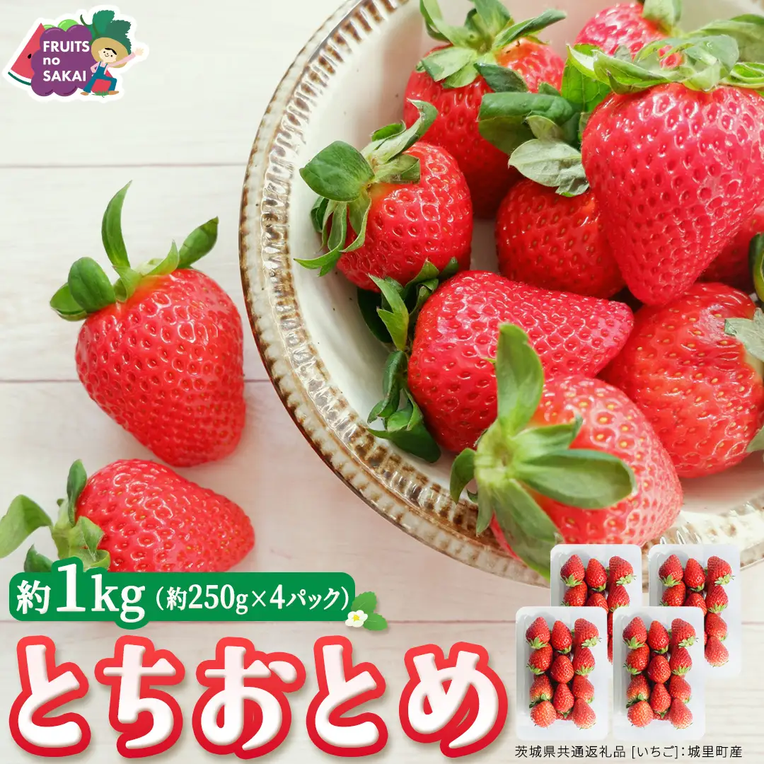 とちおとめ 約250g（15～18粒）×4パック【2026年12月から発送開始】（茨城県共通返礼品 [いちご]：城里町産）