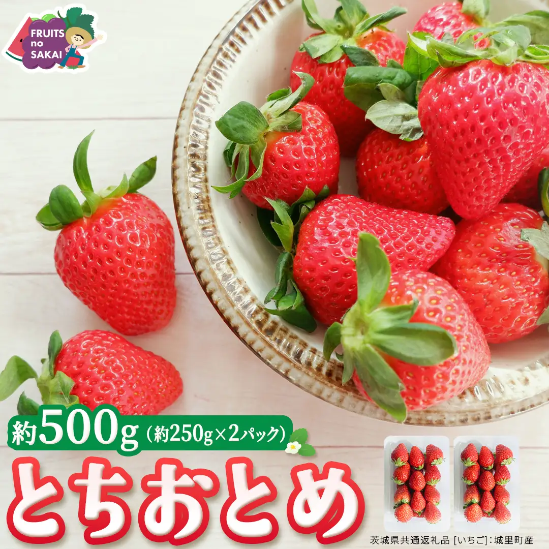 とちおとめ 約250g（15～18粒）×2パック【2026年12月から発送開始】（茨城県共通返礼品 [いちご]：城里町産）
