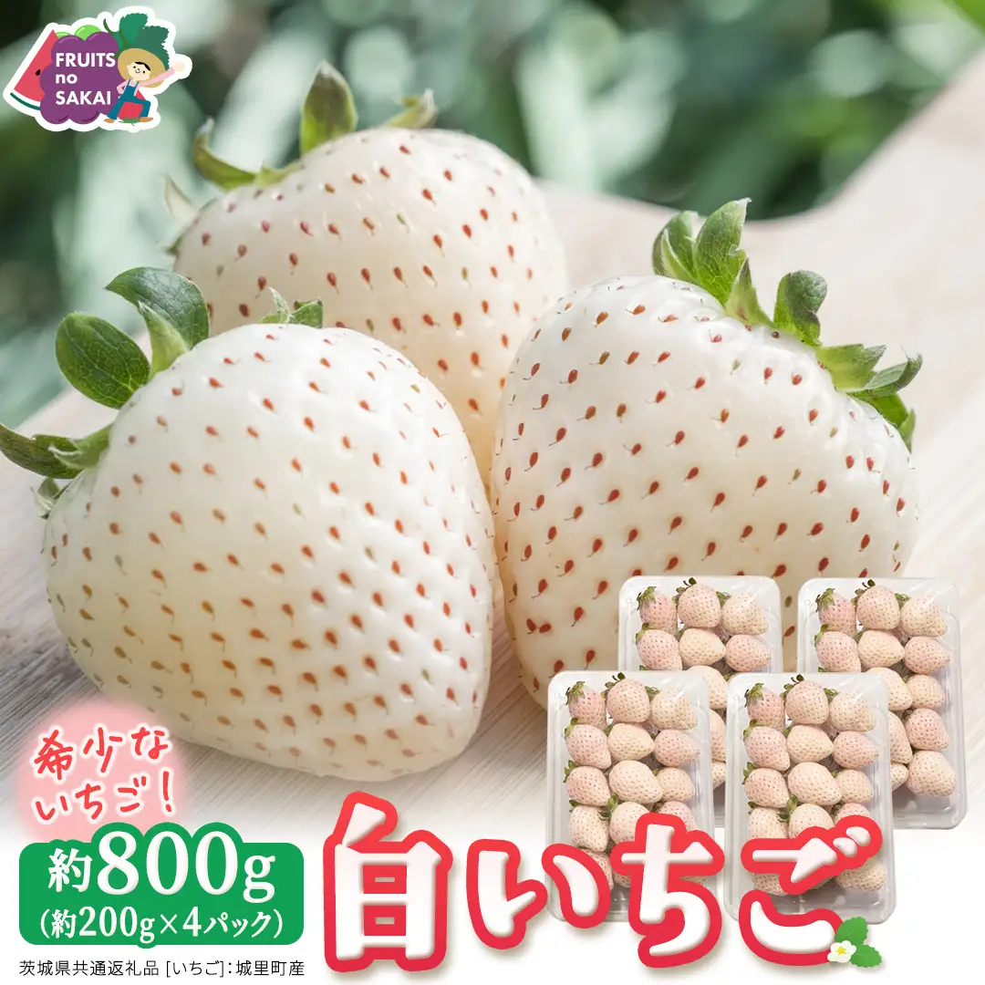 白いちご 約200g（15～18粒）×4パック【2027年1月から発送開始】（茨城県共通返礼品 [いちご]：城里町産）