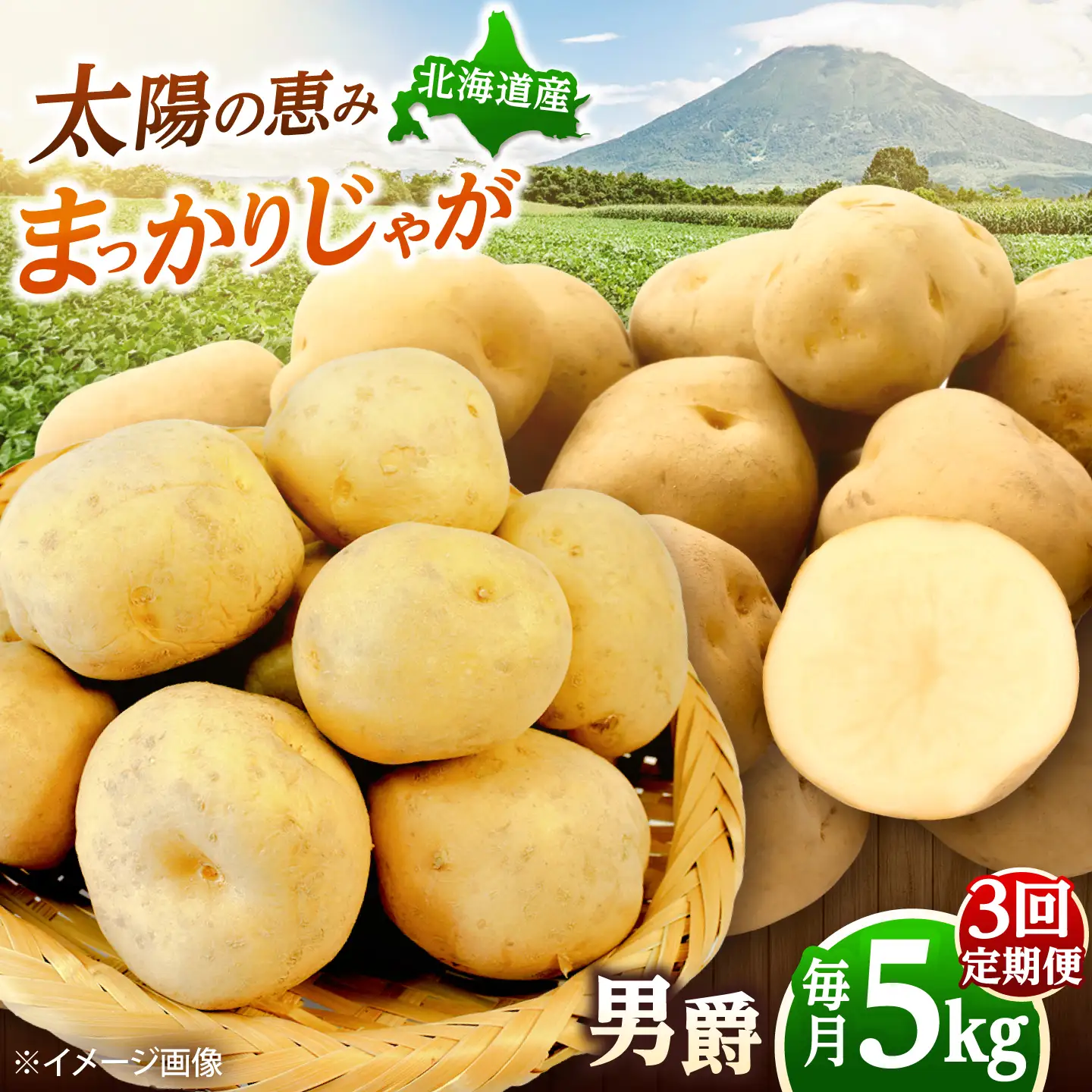 【全3回定期便】【10月-12月発送】 じゃがいも 男爵 5kg [BPAM092] じゃがいも