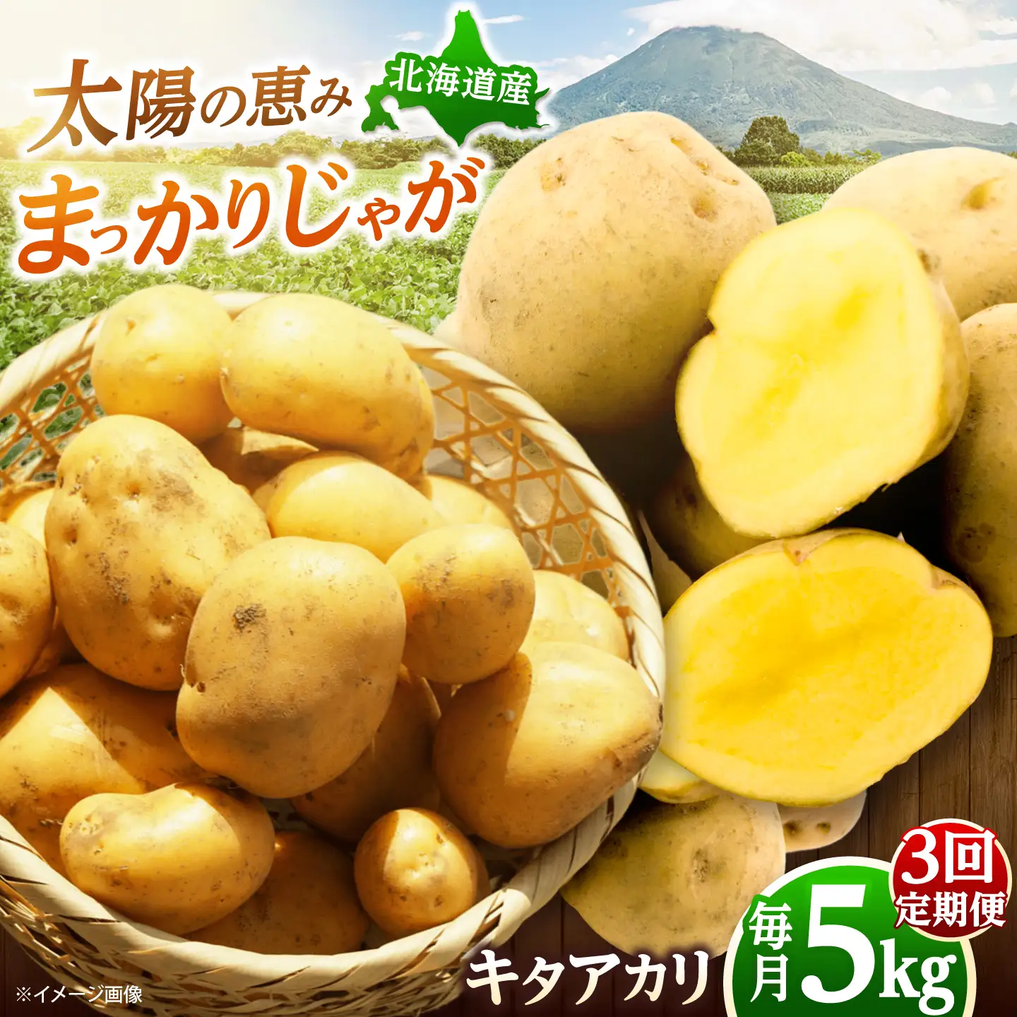 【全3回定期便】【10月-12月発送】じゃがいも キタアカリ 5kg [BPAM093] じゃがいも
