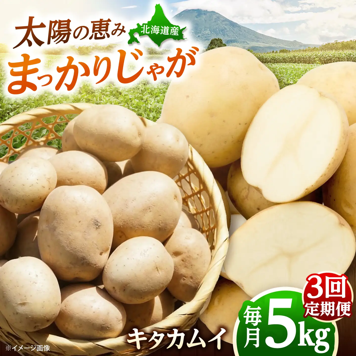 【全3回定期便】【11月-1月発送】 じゃがいも キタカムイ 5kg [BPAM094] じゃがいも