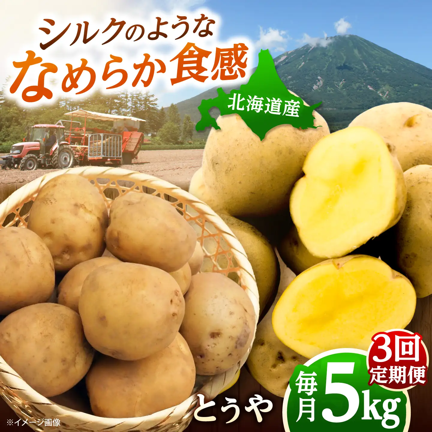 【全3回定期便】【10月-12月発送】じゃがいも とうや 5kg [BPAM095] じゃがいも