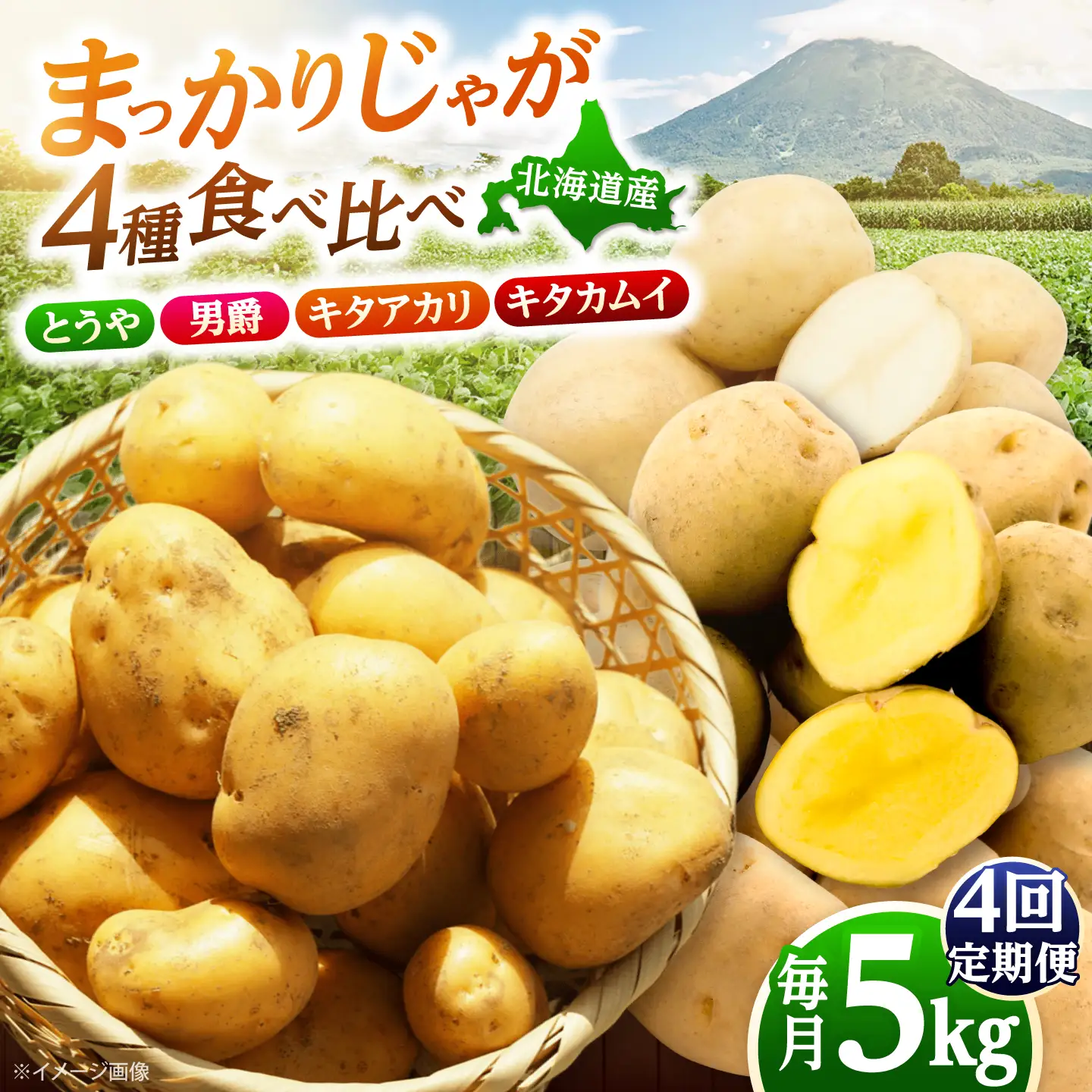 【全4回定期便】【10月-1月発送】じゃがいも 4種食べ比べ定期便 [BPAM096] じゃがいも