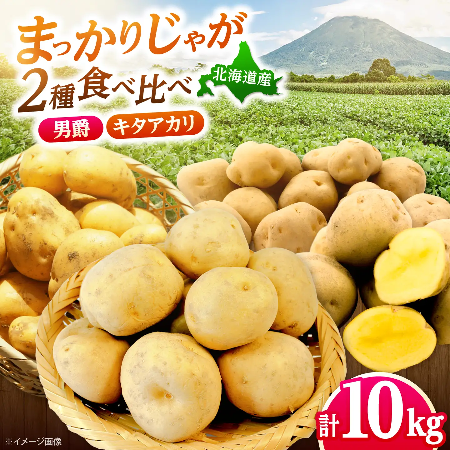 じゃがいも 食べ比べセット（男爵・キタアカリ）計10kg  [BPAM097] じゃがいも