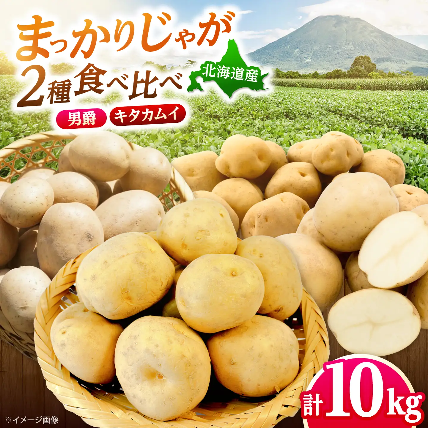 じゃがいも 食べ比べセット （男爵・キタカムイ）計10kg  [BPAM098] じゃがいも