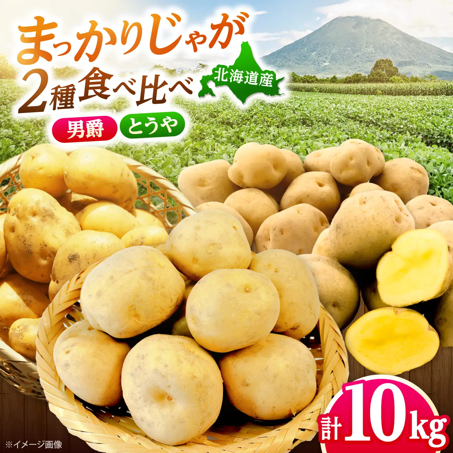 じゃがいも 食べ比べセット （男爵・とうや）計10kg  [BPAM099] じゃがいも