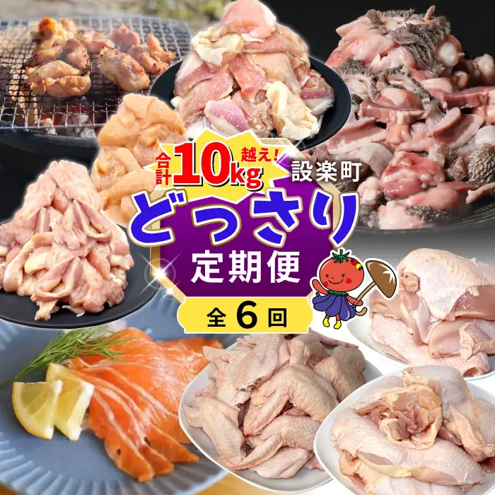 《全6回 定期便》 合計10㎏越え！！どっさり 定期便 もも肉 サーモン 手羽先 むね肉 せせり肉 ホルモンミックス 鶏肉 魚介 大容量 大家族 ストック パーティー 愛知県 設楽町-306
