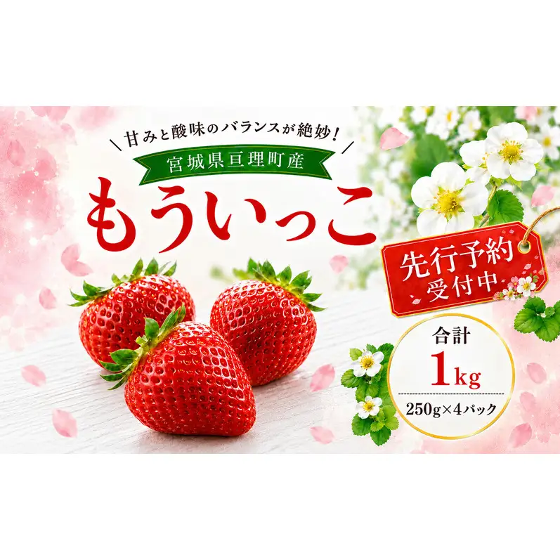 いちご イチゴ 苺 先行予約 1月発送 家庭用 もういっこ 宮城県亘理町産 1kg 250g×4パック 小分け 冷蔵配送 国産 フルーツ 返礼品