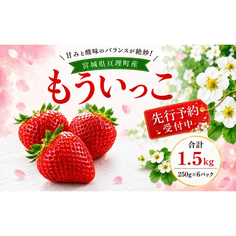 いちご イチゴ 苺 先行予約 1月発送 家庭用 もういっこ 宮城県亘理町産 1.5kg 250g×6パック 小分け 冷蔵配送 国産 フルーツ 返礼品