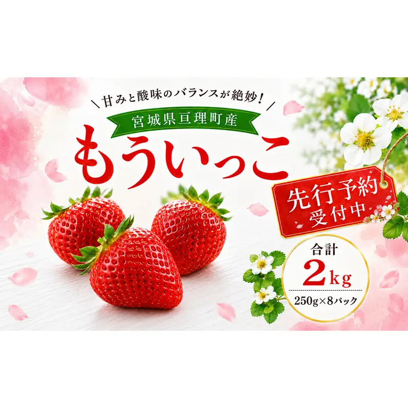 いちご イチゴ 苺 先行予約 1月発送 家庭用 もういっこ 宮城県亘理町産 2kg 250g×8パック 小分け 冷蔵配送 国産 フルーツ 返礼品