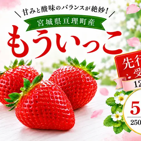いちご イチゴ 苺 先行予約 12月発送 家庭用 もういっこ 宮城県亘理町産 500g 250g×2パック 小分け 冷蔵配送 国産 フルーツ 返礼品
