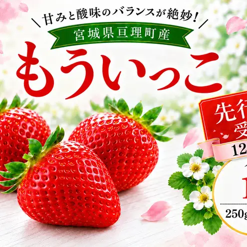 いちご イチゴ 苺 先行予約 12月発送 家庭用 もういっこ 宮城県亘理町産 1000g 250g×4パック 小分け 冷蔵配送 国産 フルーツ 返礼品