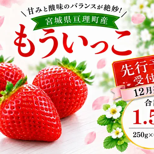 いちご イチゴ 苺 先行予約 12月発送 家庭用 もういっこ 宮城県亘理町産 1500g 250g×6パック 小分け 冷蔵配送 国産 フルーツ 返礼品