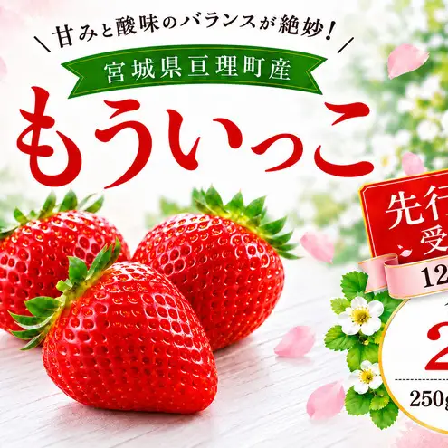 いちご イチゴ 苺 先行予約 12月発送 家庭用 もういっこ 宮城県亘理町産 2000g 250g×8パック 小分け 冷蔵配送 国産 フルーツ 返礼品